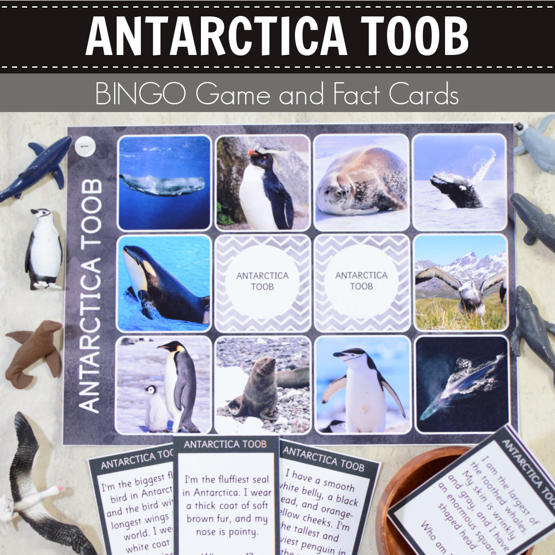 Safari Antarctica Toob Bingo Game and Fact Cards