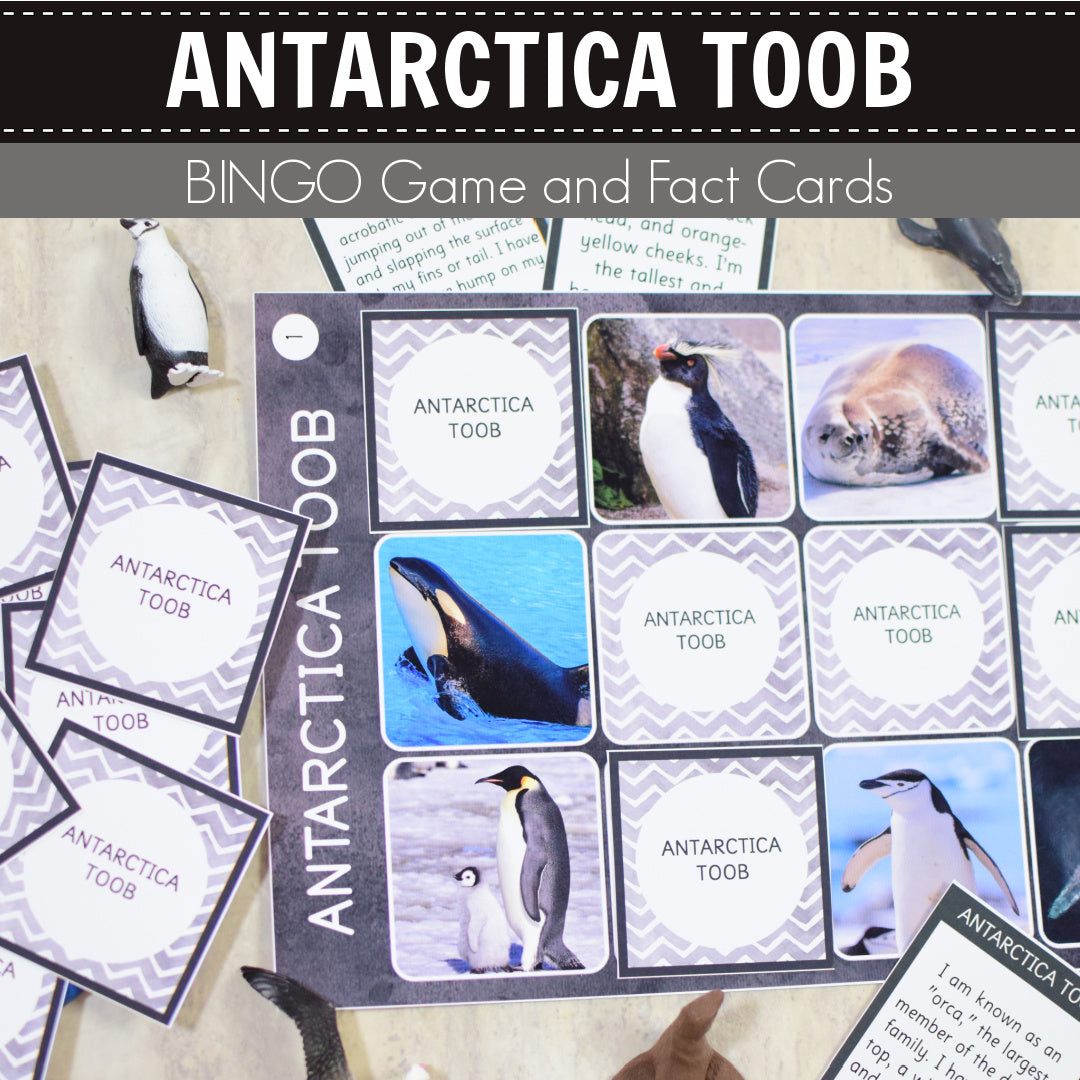 Safari Antarctica Toob Bingo Game and Fact Cards