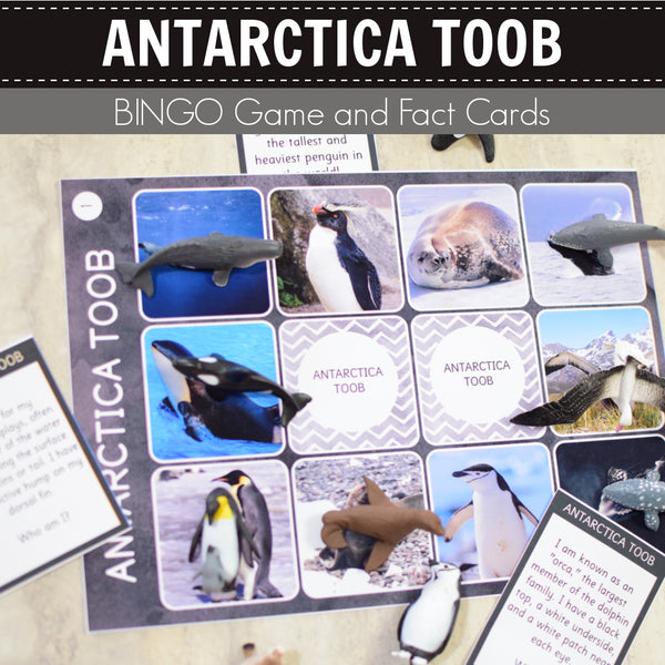 Safari Antarctica Toob Bingo Game and Fact Cards