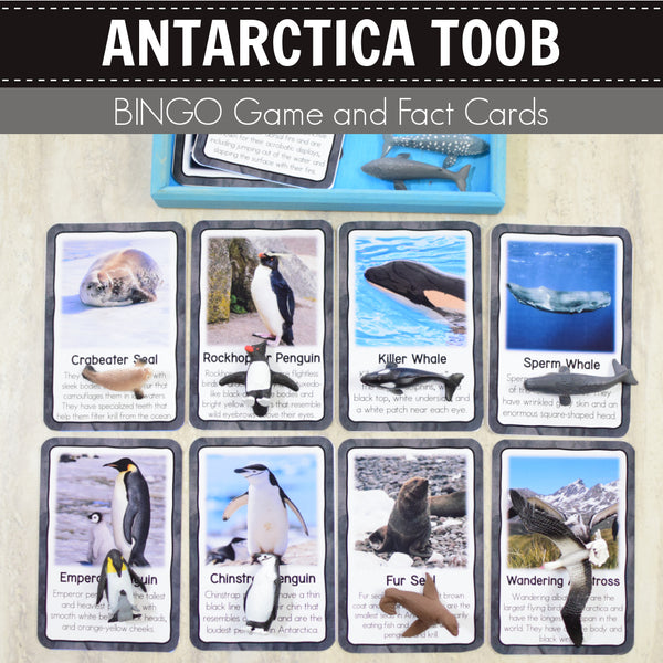 Safari Antarctica Toob Bingo Game and Fact Cards