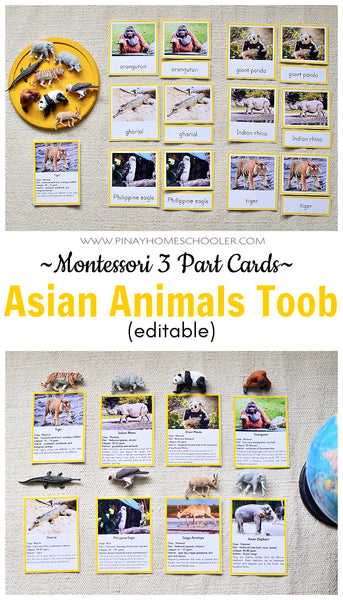 Montessori Asian Animals Toob 3 Part Cards [EDITABLE]