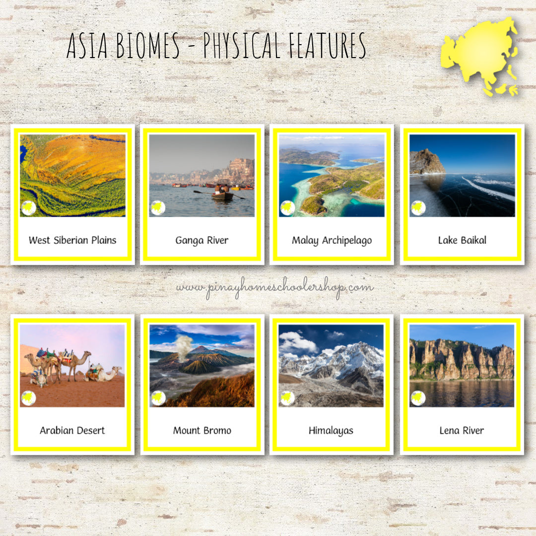 Asia Biomes and Physical Features - Montessori Inspired