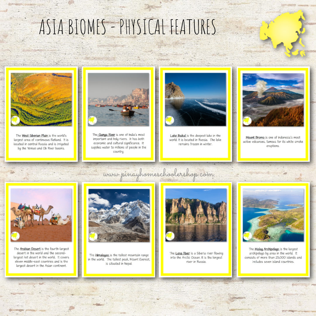 Asia Biomes and Physical Features - Montessori Inspired