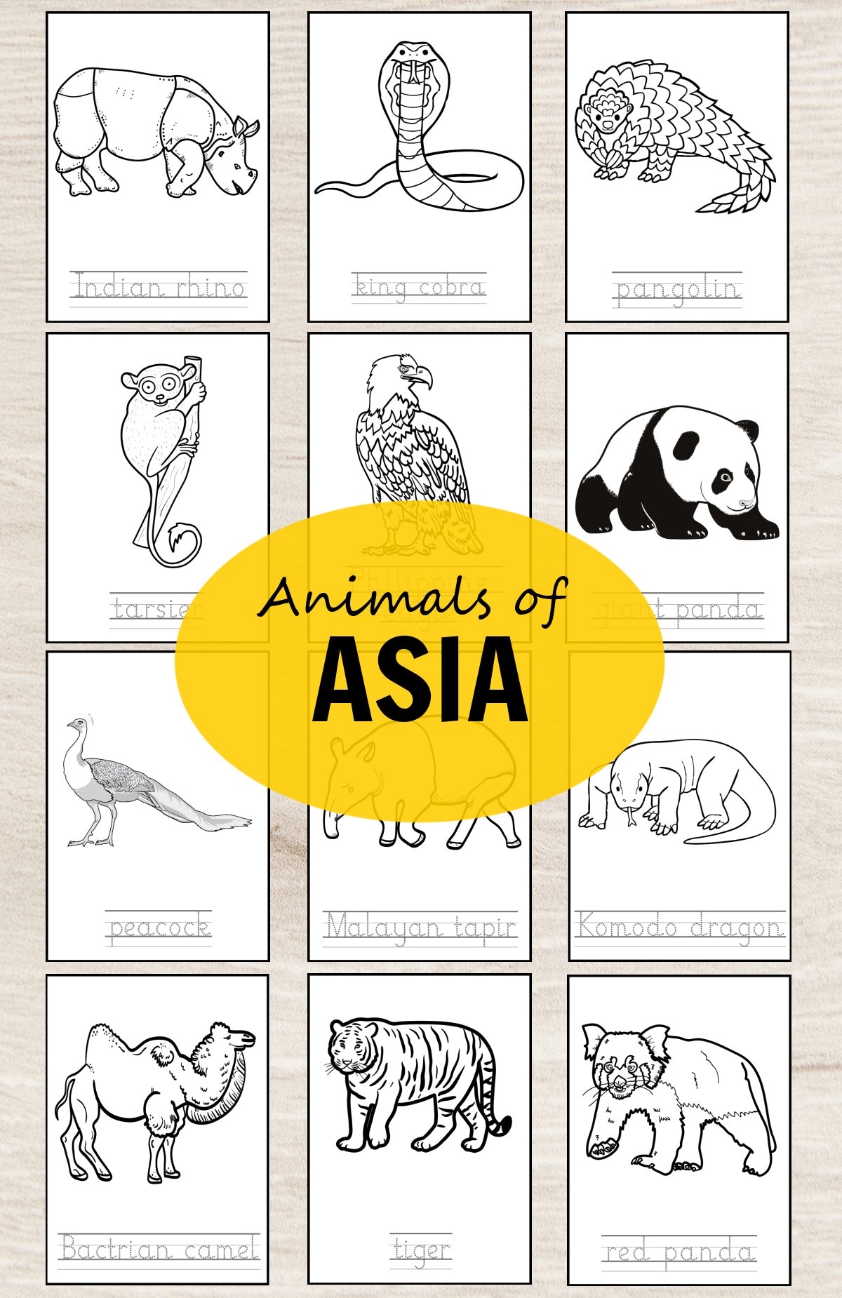 Animals of Asia Montessori  3 Part Cards and Fact Cards