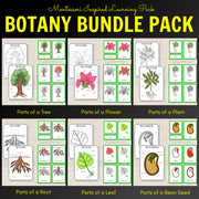 Botany Bundle - Montessori Pack