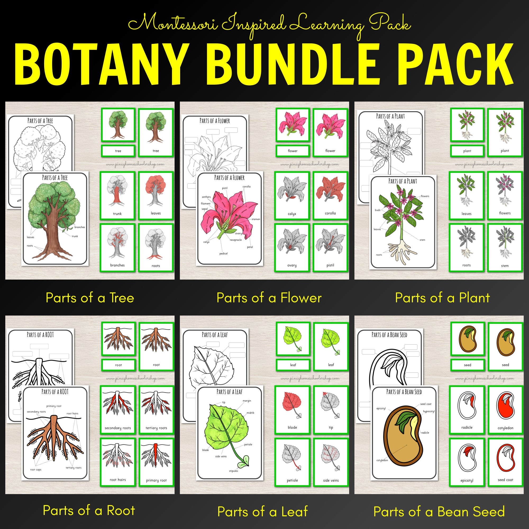 Botany Bundle - Montessori Pack