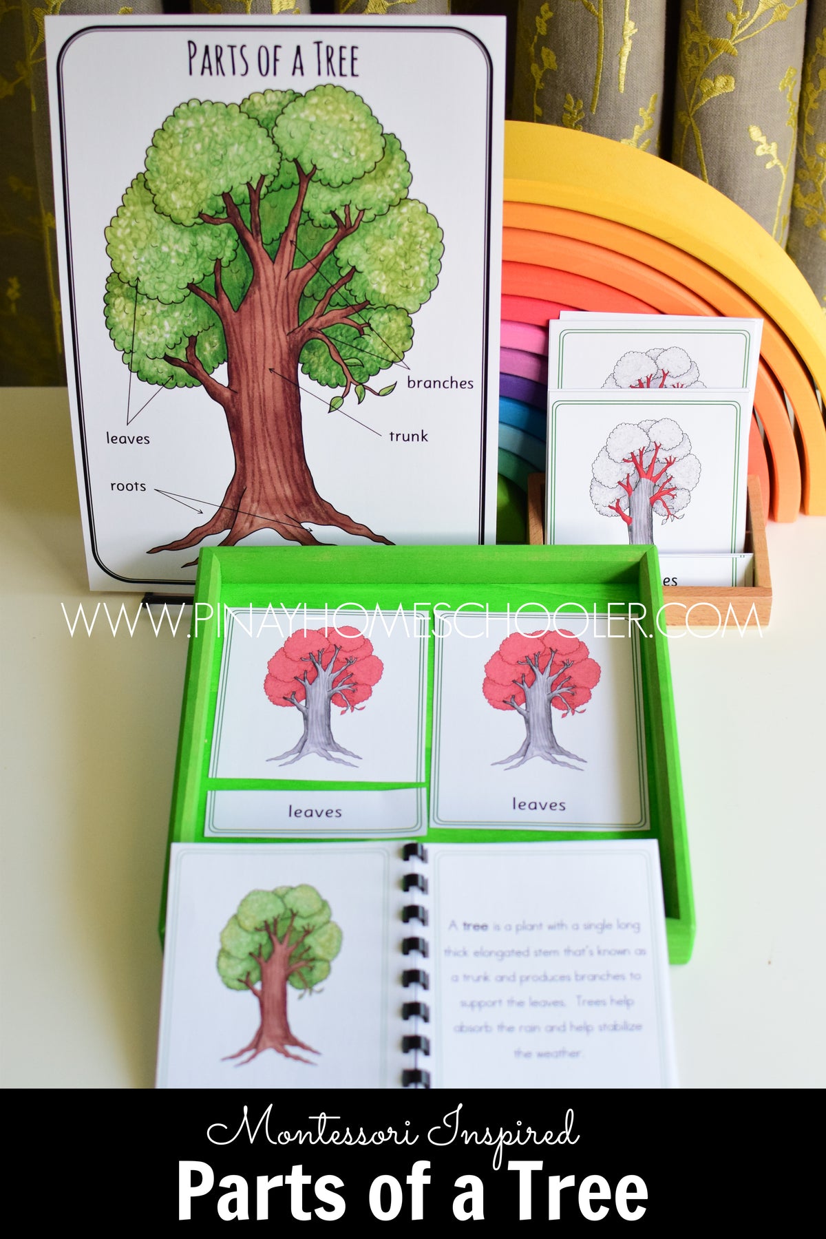 Botany Bundle - Montessori Pack – Pinay Homeschooler Shop