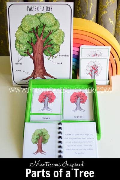 Botany - Plant Bundle Pack Montessori Cards