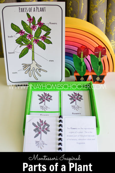Botany - Plant Bundle Pack Montessori Cards