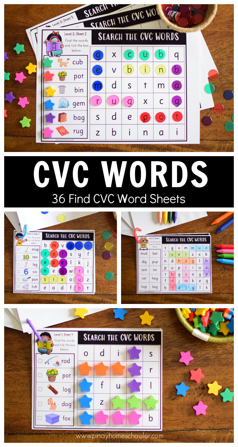 CVC Word Search - Three Levels