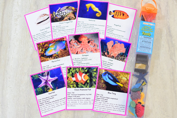 Montessori Coral Reef Toob 3 Part Cards [EDITABLE]