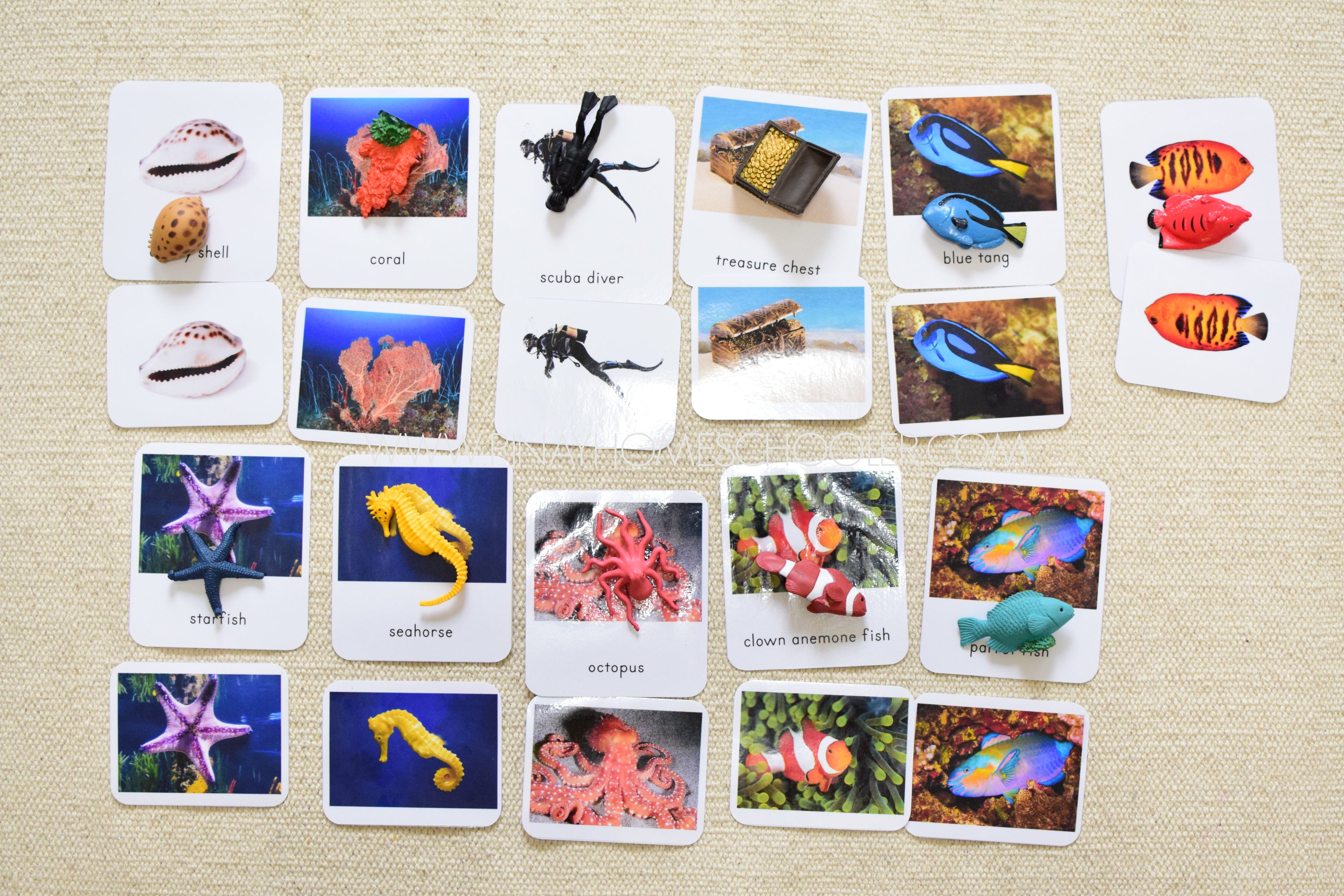 Montessori Coral Reef Toob 3 Part Cards [EDITABLE]