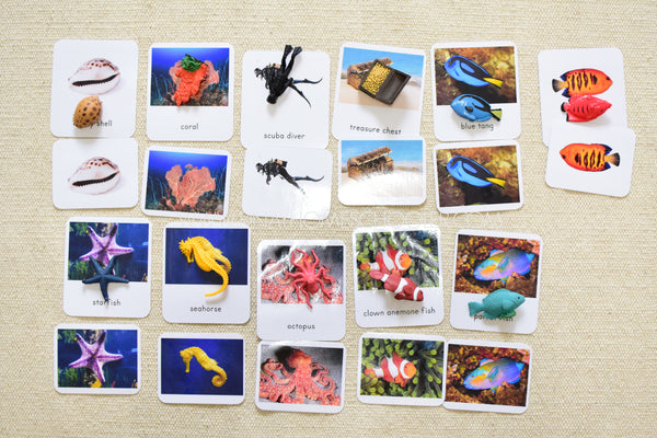 Montessori Coral Reef Toob 3 Part Cards [EDITABLE]