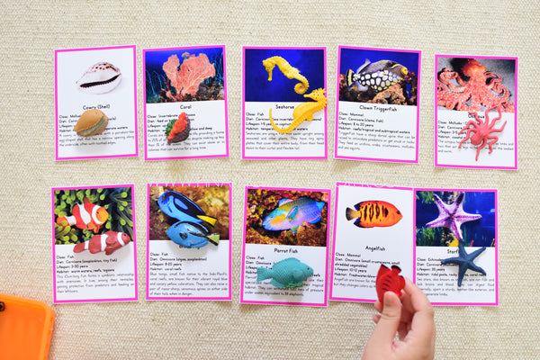 Montessori Coral Reef Toob 3 Part Cards [EDITABLE]