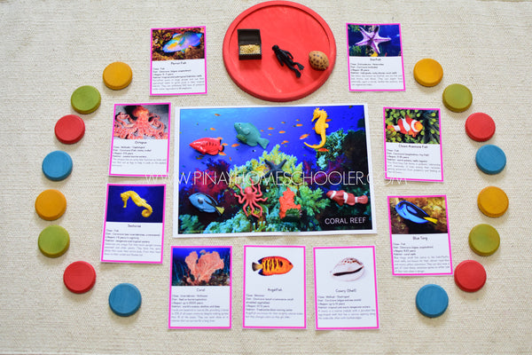 Montessori Coral Reef Toob 3 Part Cards [EDITABLE]