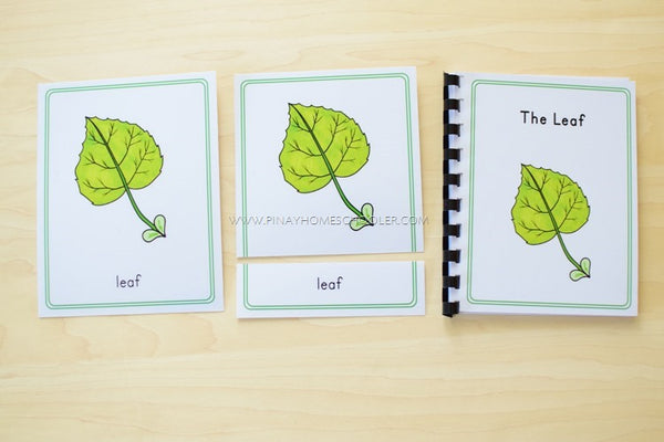 Botany - Plant Bundle Pack Montessori Cards