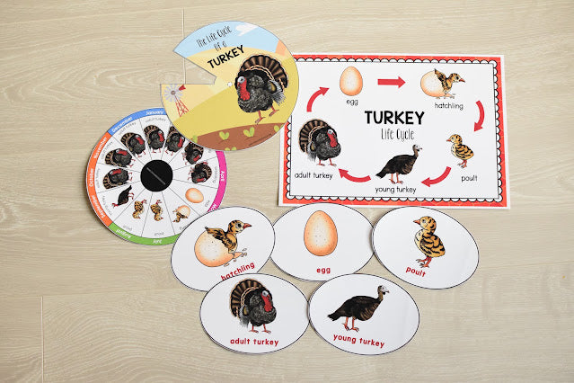 Growing BUNDLE of Life Cycle Activity Sets