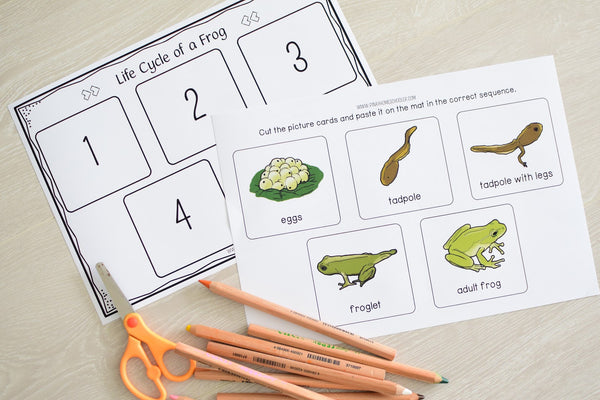 Growing BUNDLE of Life Cycle Activity Sets