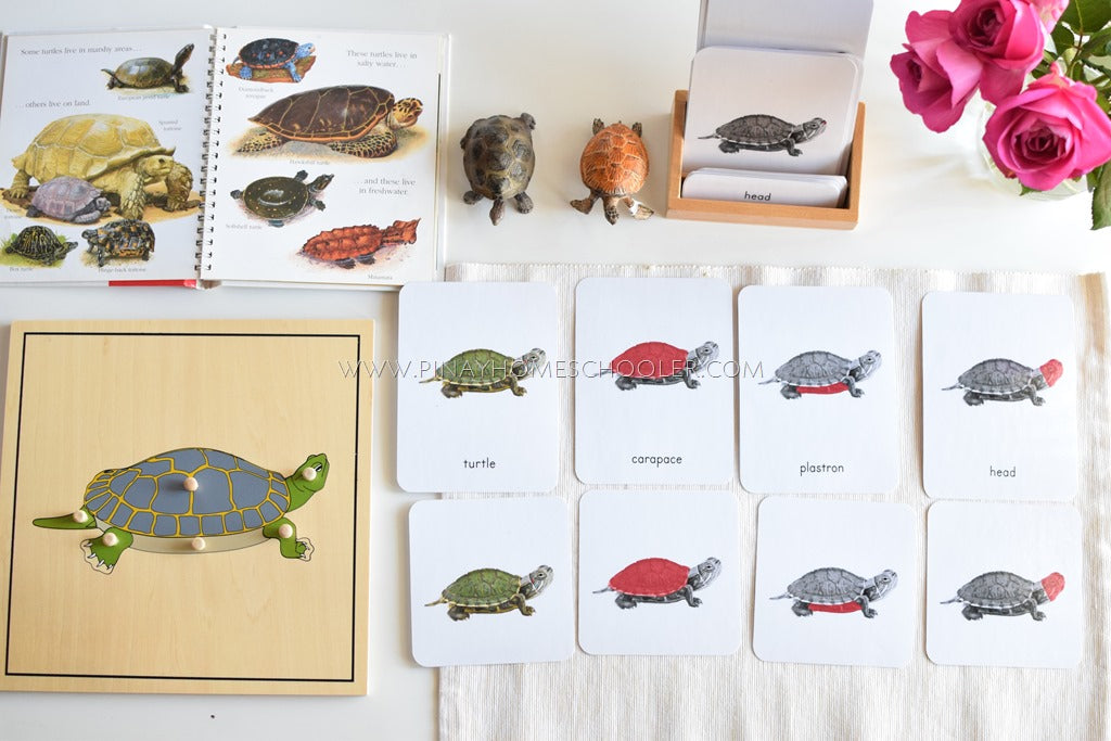 Pinay Homeschooler Shop