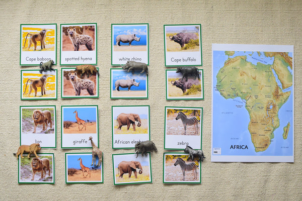 Montessori South Africa Toob 3 Part Cards [EDITABLE]