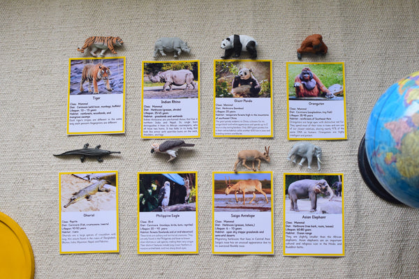 Montessori Asian Animals Toob 3 Part Cards [EDITABLE]