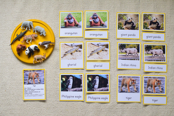 Montessori Asian Animals Toob 3 Part Cards [EDITABLE]