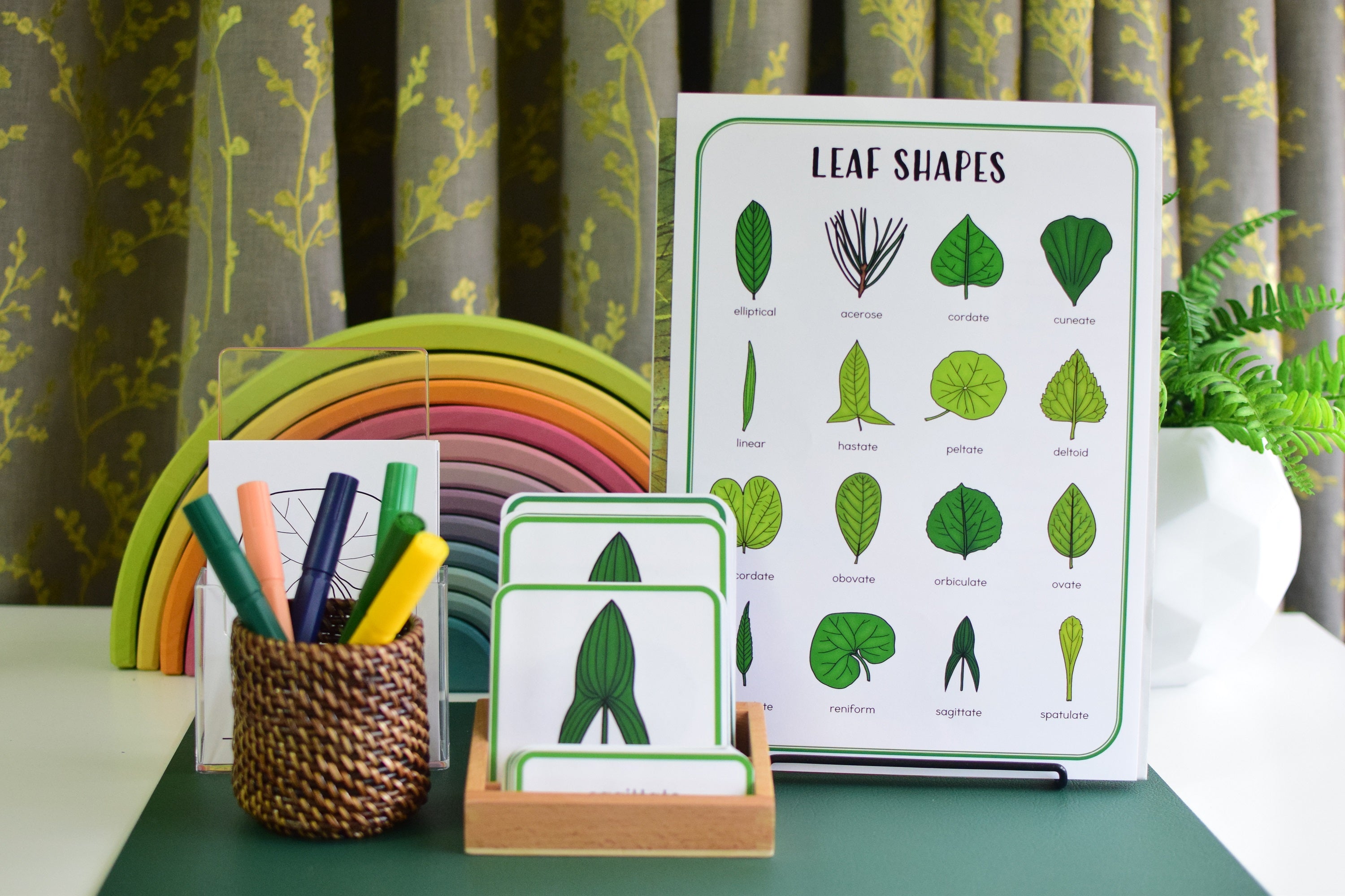 Leaf Shapes Montessori 3 Part Cards