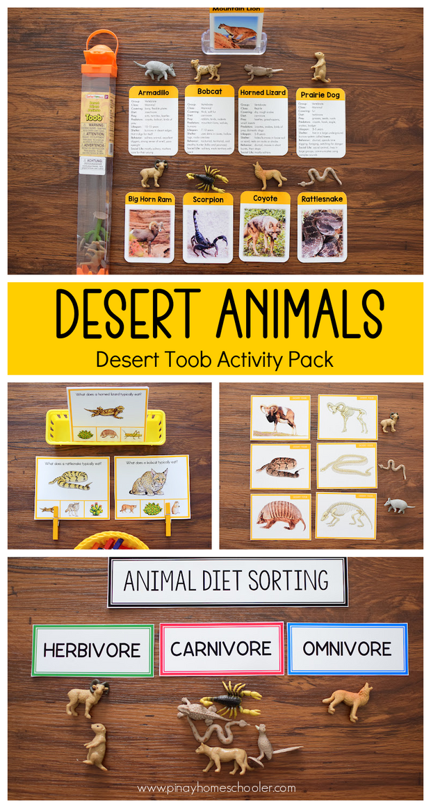Desert Animals Activity Pack - Safari Toob Desert – Pinay Homeschooler Shop
