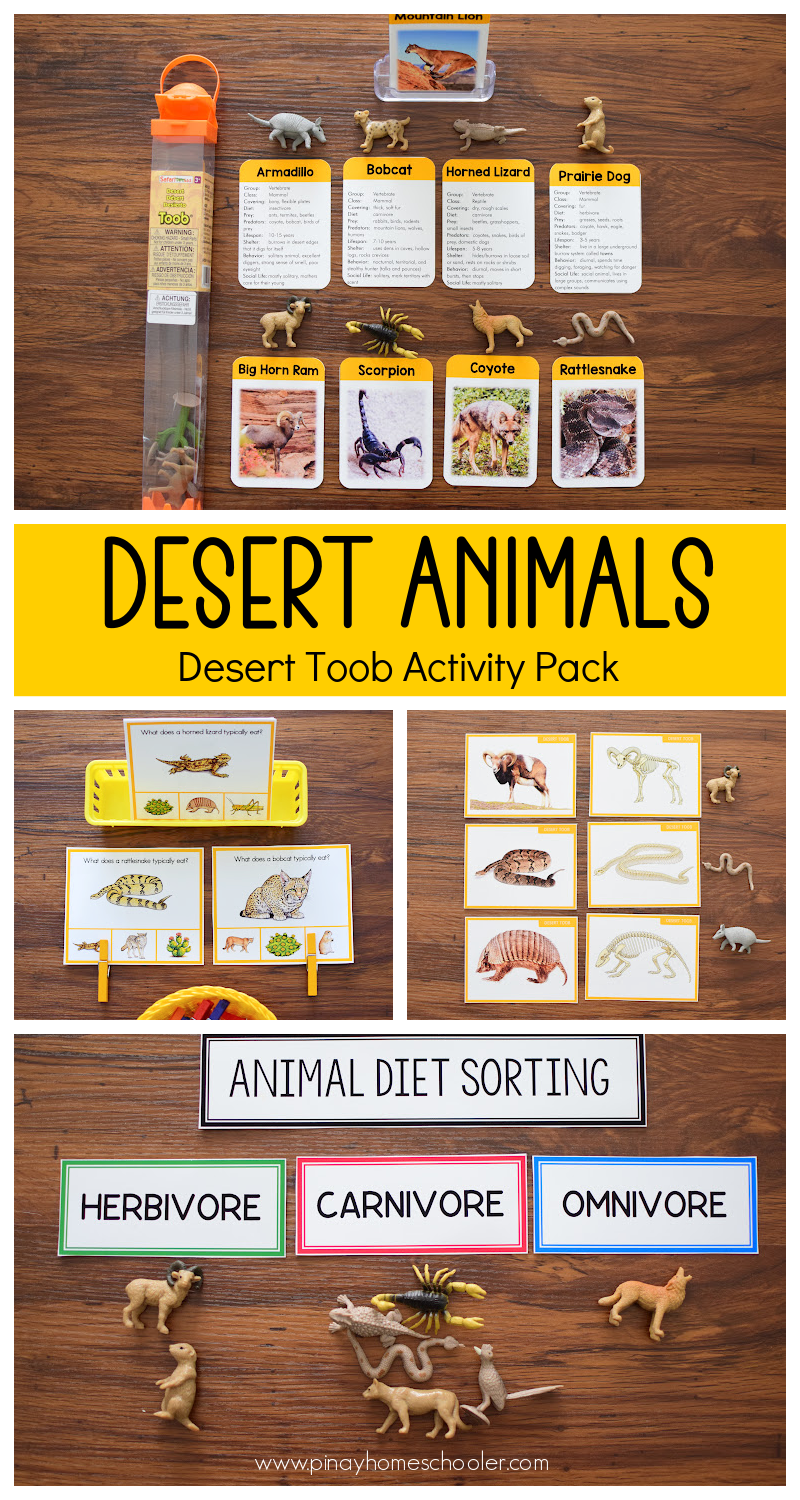 Desert Animals Activity Pack - Safari Toob Desert