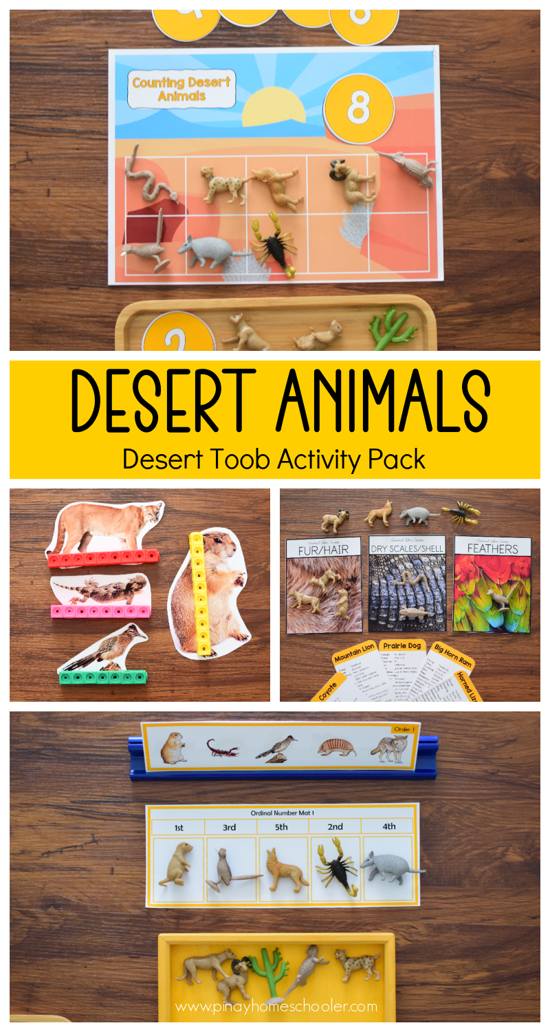 Desert Animals Activity Pack - Safari Toob Desert