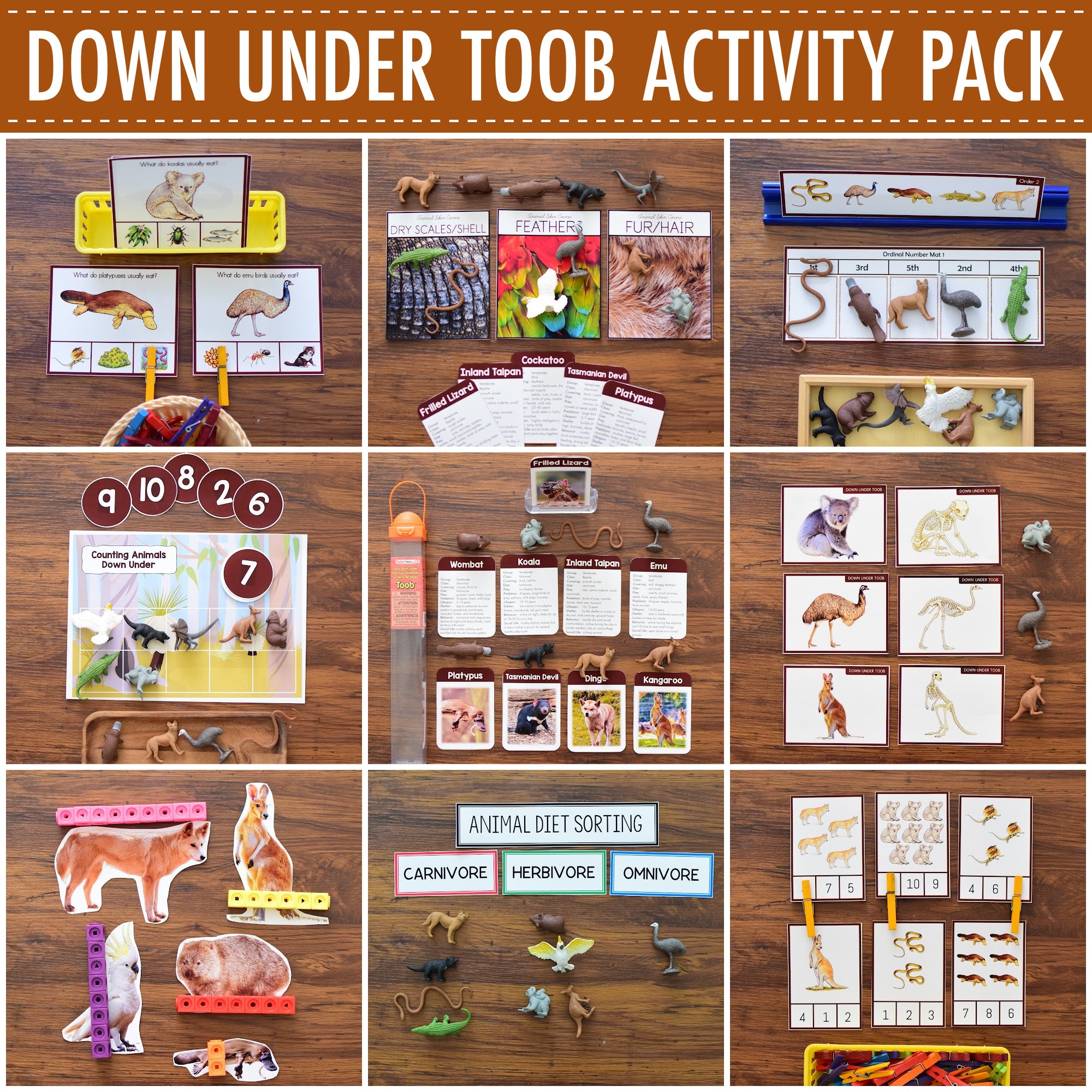 Land Down Under Toob Activity Pack - Safari Toob