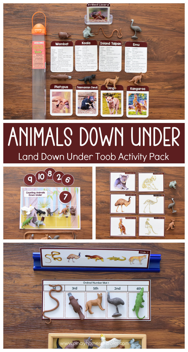 Land Down Under Toob Activity Pack - Safari Toob