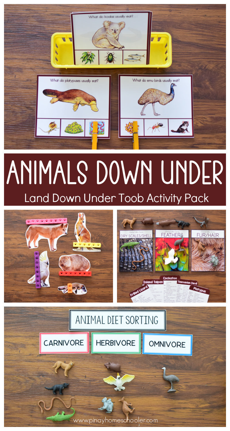 Land Down Under Toob Activity Pack - Safari Toob