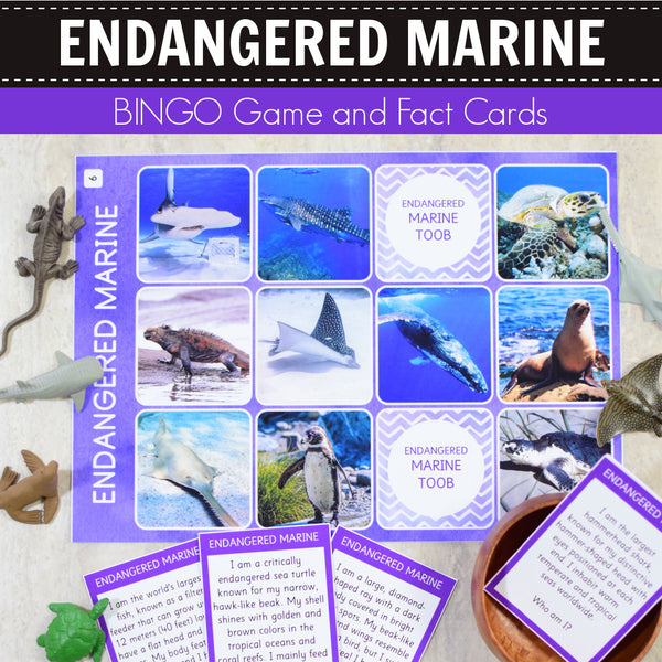 Safari Endangered Marine Toob Bingo Game and Fact Cards