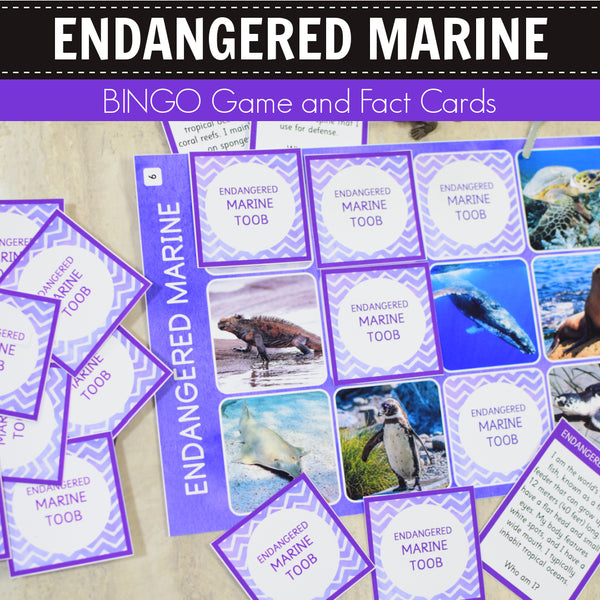 Safari Endangered Marine Toob Bingo Game and Fact Cards