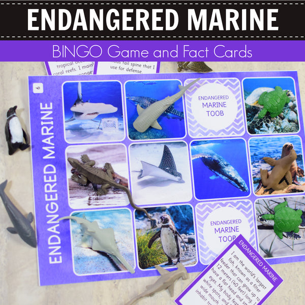 Safari Endangered Marine Toob Bingo Game and Fact Cards
