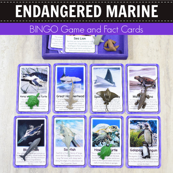 Safari Endangered Marine Toob Bingo Game and Fact Cards