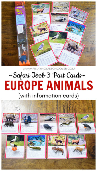 Safari Toob European Animals 3 Part Cards