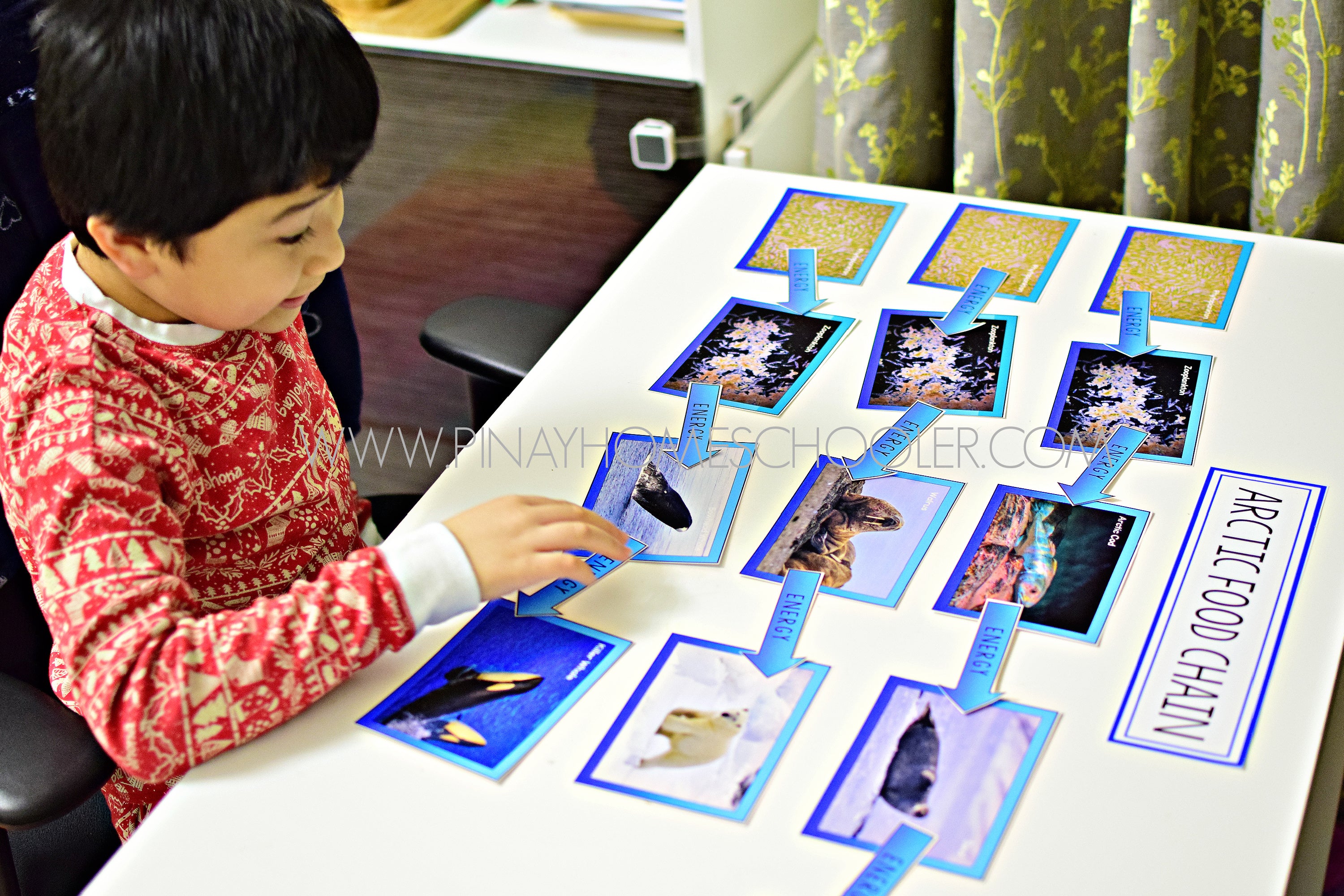 Pinay Homeschooler Shop