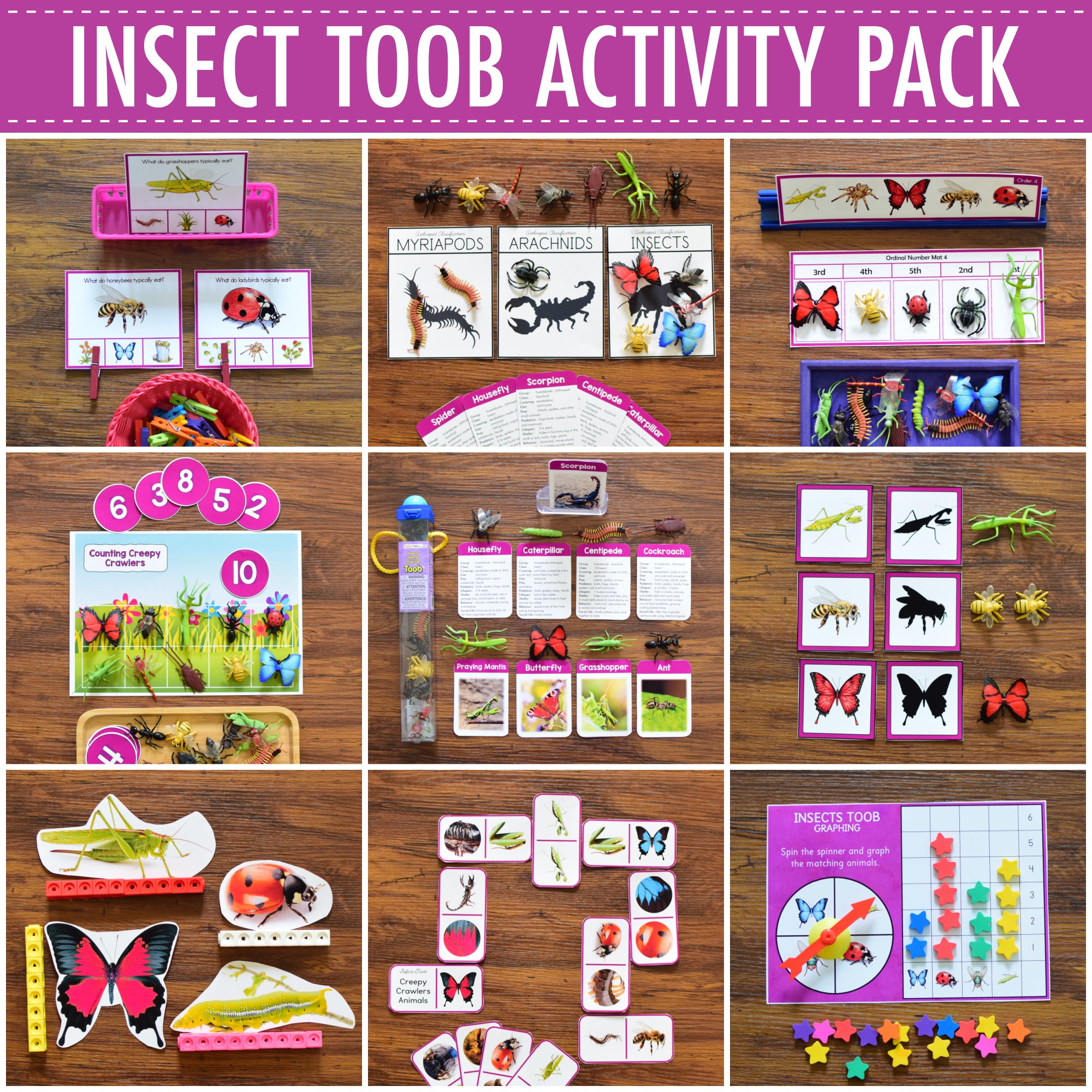 Insect Toob Activity Pack - Safari Toob