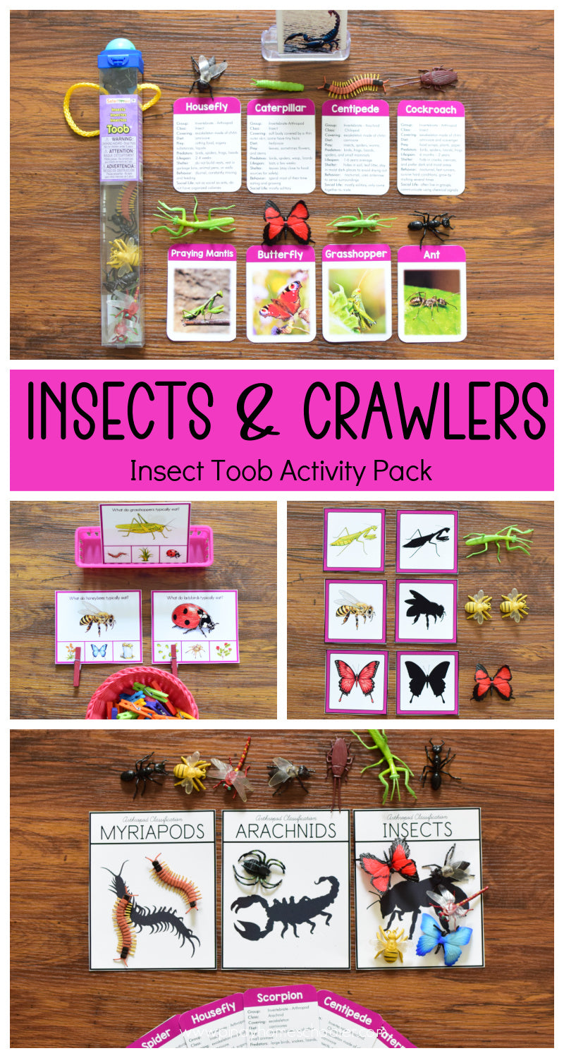 Insect Toob Activity Pack - Safari Toob