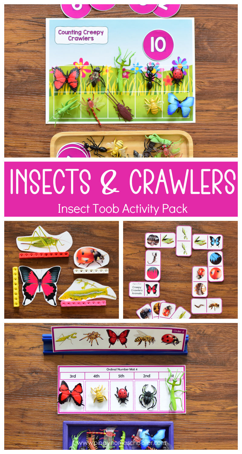 Insect Toob Activity Pack - Safari Toob