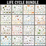 Growing BUNDLE of Life Cycle Activity Sets