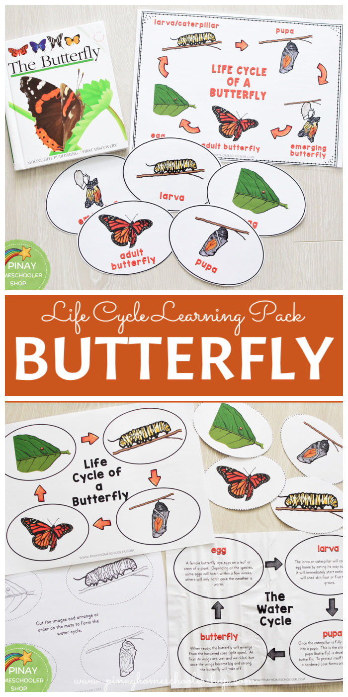 Growing BUNDLE of Life Cycle Activity Sets