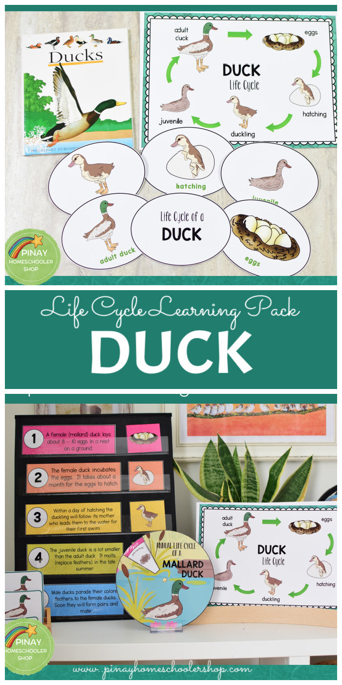 Growing BUNDLE of Life Cycle Activity Sets