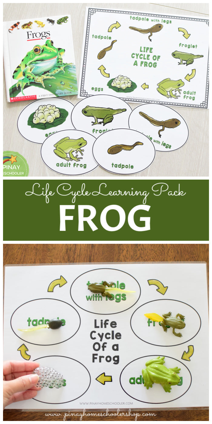 Growing BUNDLE of Life Cycle Activity Sets