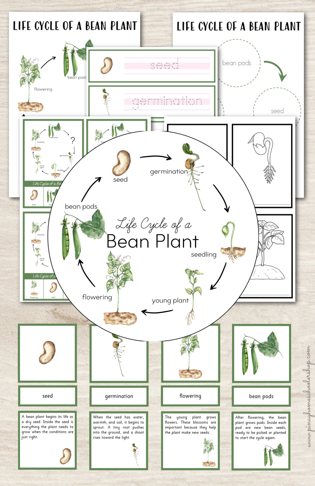 Pinay Homeschooler Shop