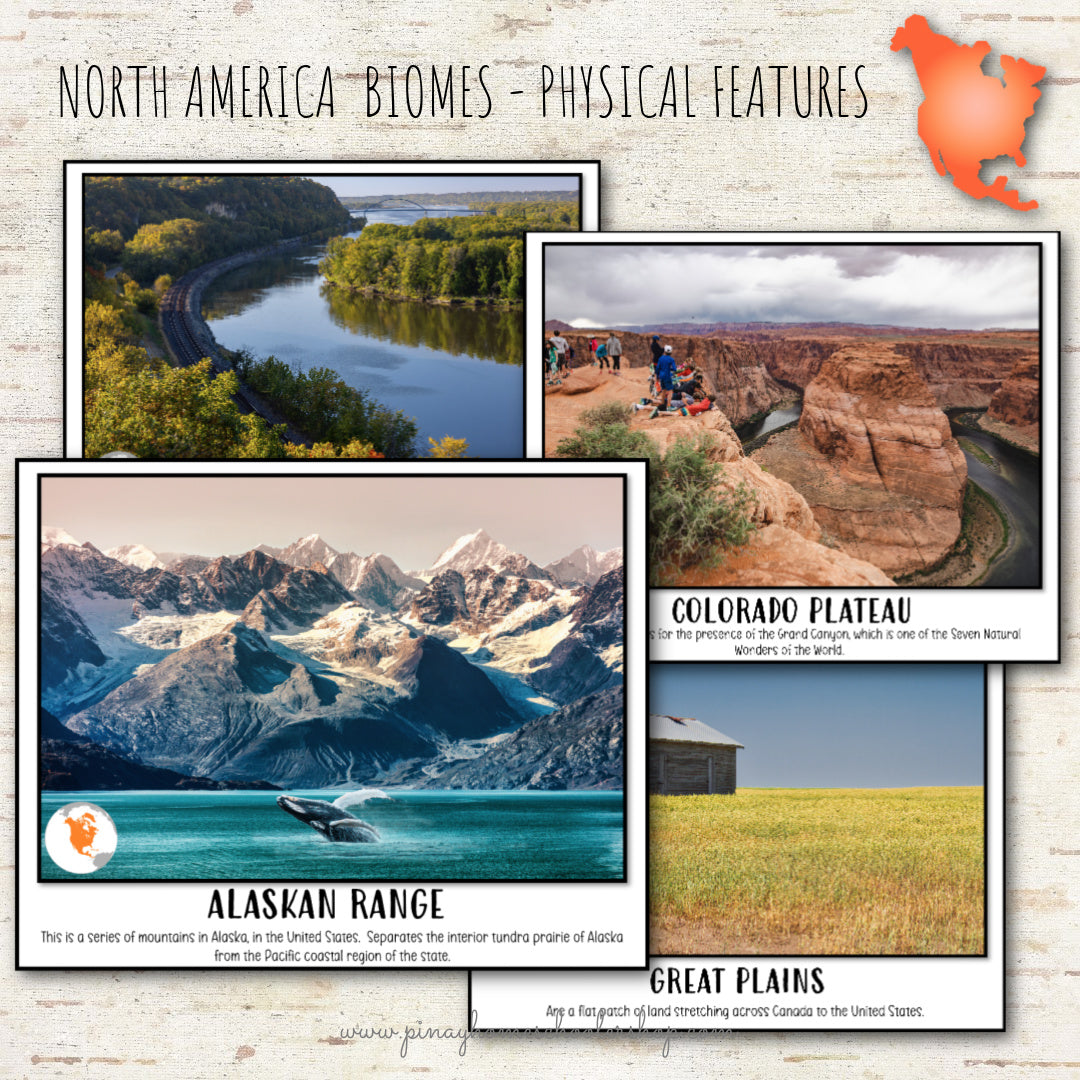 North America Biomes and Physical Features - Montessori Inspired
