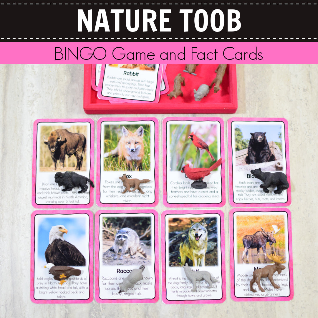 Safari Nature Toob Bingo Game and Fact Cards