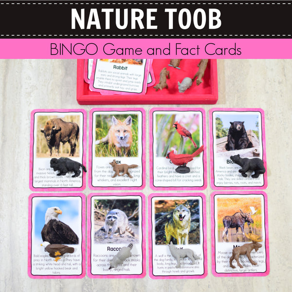 Safari Nature Toob Bingo Game and Fact Cards